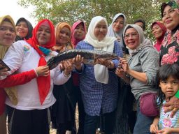 Bupati bersama ibu-ibu memperlihatkan ikan toman hasil dari panen ikan atau bekarang di Kecamatan Kumpeh, Muaro Jambi, Sabtu (31/08/2019)