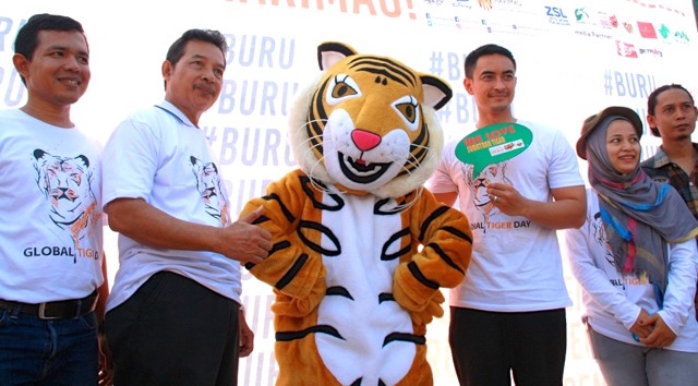 Kampanye pelestarian harimau, Gubernur Jambi, H Zumi Zola khawatir dan prihatin dengan pemburuan harimau. Bilangnya, jangan sampai nanti, harimau hanya menjadi cerita. 