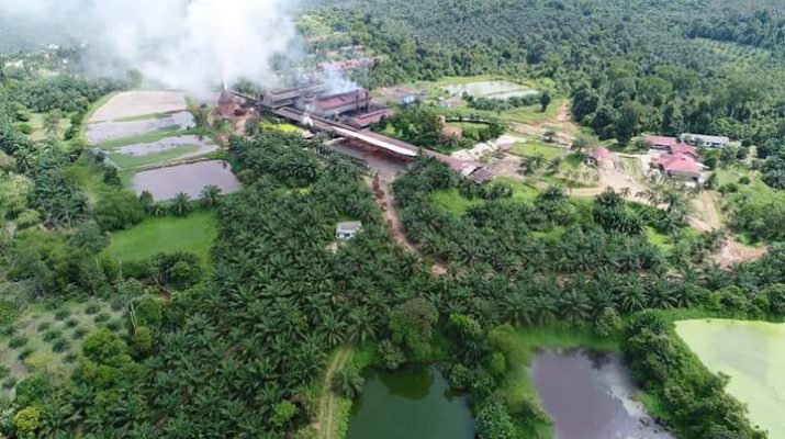 Dinamika Jambi - Bukan hanya soal jalan hancur saja, warga ungkap berbagai polemik pabrik sawit di Muaro Jambi yakni PT PAL.  foto Pabrik Sawit