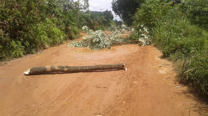 Jalan lintas Petaling lumpuh, warga tumbangkan pohon tutup jalan. Aksi pada Senin (10/12/18) itu buntut kerusakan jalan poros Sungai Gelam