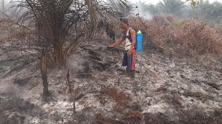 Ratusan Hektar Lahan Sawit dan Karet Milik Warga Pamenang, Kabupaten Merangin, Habis Terbakar.