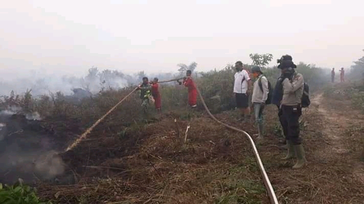 BERITA JAMBI Kasus Kebakaran Hutan dan Lahan di areal anak perusahaan Sinar Mas Group, bakal dilaporkan ke Kementrian lewat DPRD Provinsi.