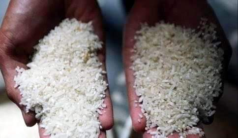 Pastikan Jambi Aman Dari Beras Palsu, Ketahanan Pangan Lakukan Uji Sample