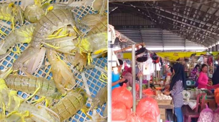 Merebaknya Virus Corona, Usaha Udang Ketak Terancam Gulung Tikar