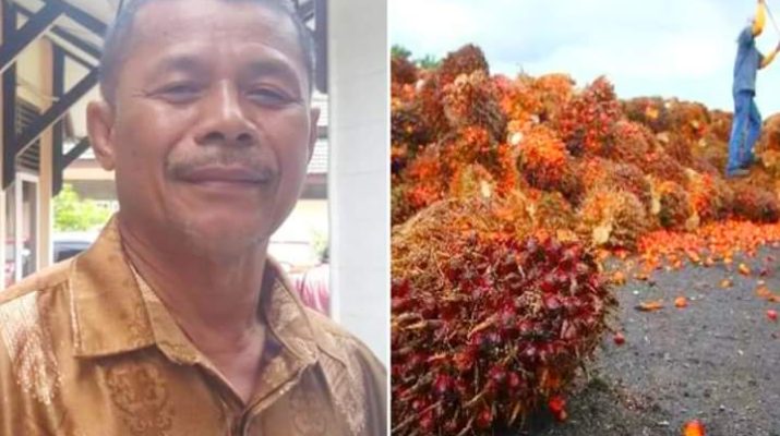 India Buka Pasar CPO Indonesia, Ini Dinilai Tak Untungkan Petani di Jambi