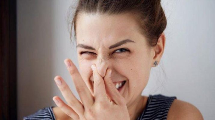 Dinamika Berita Jambi - Sehari jelang kunjungan Jokowi ke Riau Andalan Pulp and Paper (RAPP) di Pangkalan Kerinci, bau asam pekat menyengat. Foto Ilustrasi bau, net