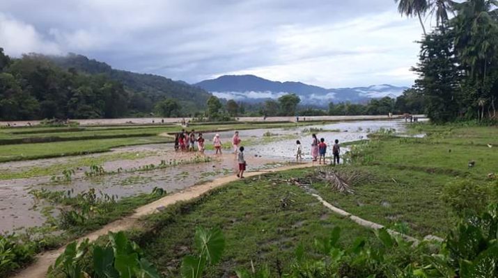 Tingginya intensitas hujan di daerah hulu membuat debit air meluap. Banjir bandang di Batang Asai, membuat akses jalan tak bisa dilalui. 