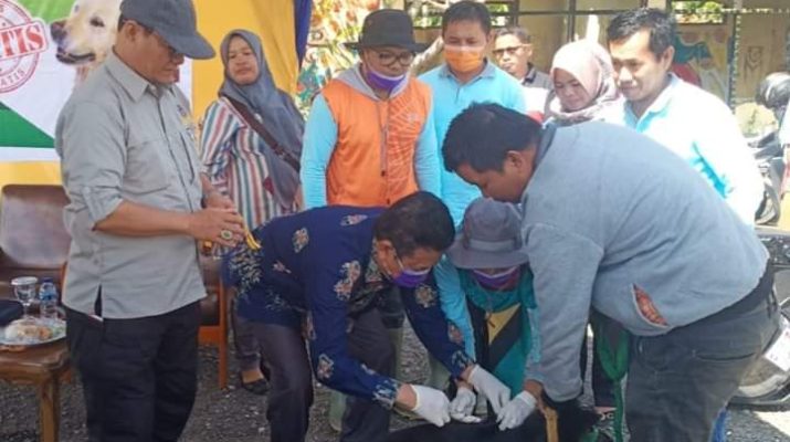 Soal Vaksinasi Rabies Massal, Ini Imbauan Dinas Peternakan