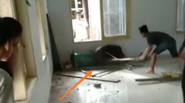 Ditengah media sosial dihebohkan dengan Virus Corona, publik dikejutkan rekaman viral, video babi masuk masjid yang bikin emosi warganet.