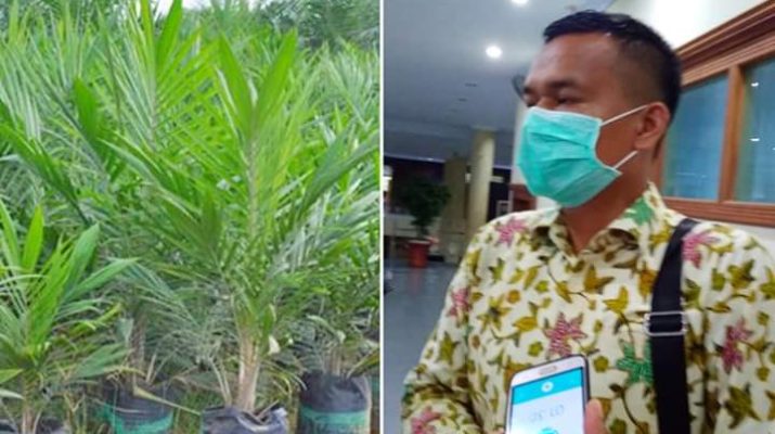 Jambi Kekurangan Bibit Bersubsidi, Dinas Perkebunan Jadi Sorotan Dewan