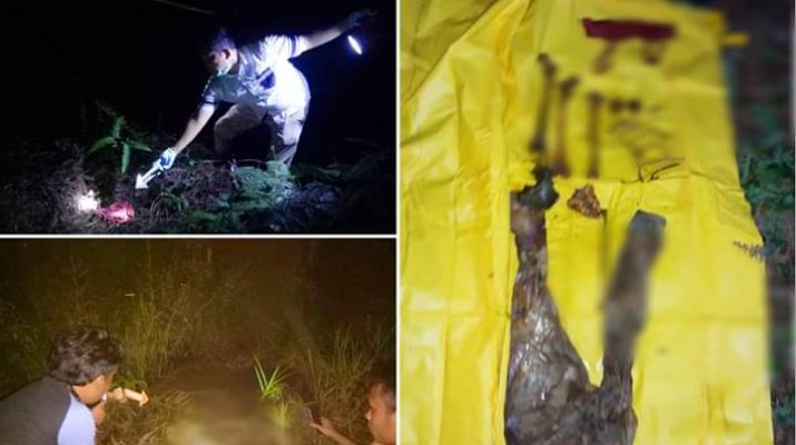 Ada Penemuan Kerangka Mayat Wanita, Masyarakat Tanjabbar Dibuat Heboh 