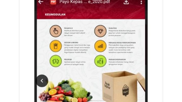 Mau Belanja Tapi Mager, Aplikasi Ayo Kepasar Solusi Terbaik