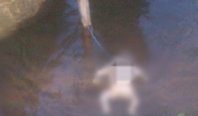 Mayat Bayi Perempuan Ditemukan Mengapung di Kerinci