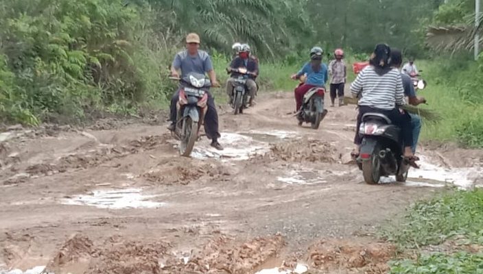 Jalan Perbatasan 2 Desa di Tanjabbar Rusak Parah