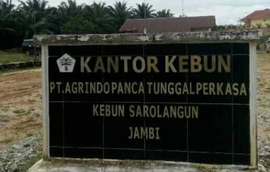 PT Agrindo Garap Hutan Produksi Selama 12 Tahun