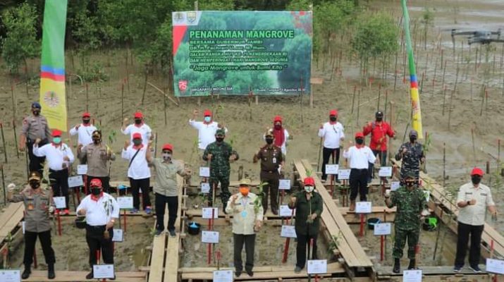Bupati Bersama Gubernur Jambi Tanam Mangrove