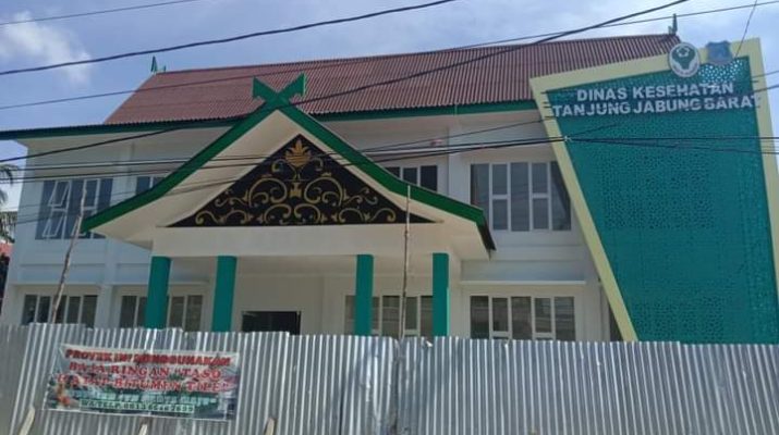 Januari Hingga Agustus, 208 Kasus DBD Ditemukan di Tanjabbar