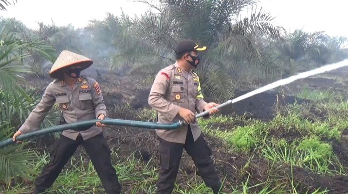 5 Hektare Lahan Terbakar di Tanjabbar