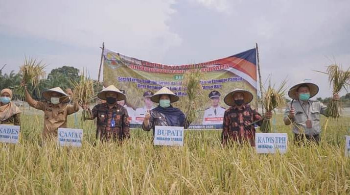 Panen Padi Lagi, Bupati Salurkan Bantuan Ke Petani Kemingking