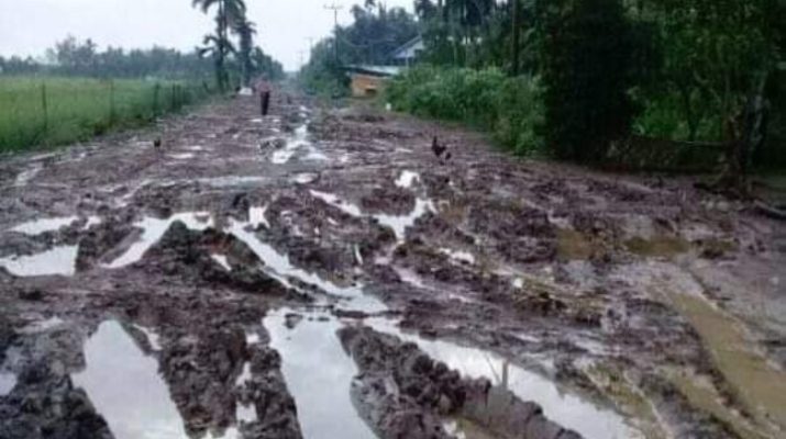 Warga Kesal, Jalan Provinsi di Tanjabbar Kurang Perhatian