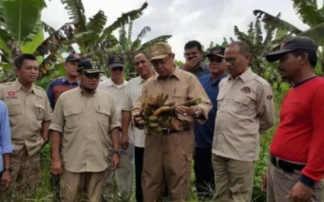 Jadi Gubernur, CE Siapkan Program Pemanfaatan Lahan Tidur