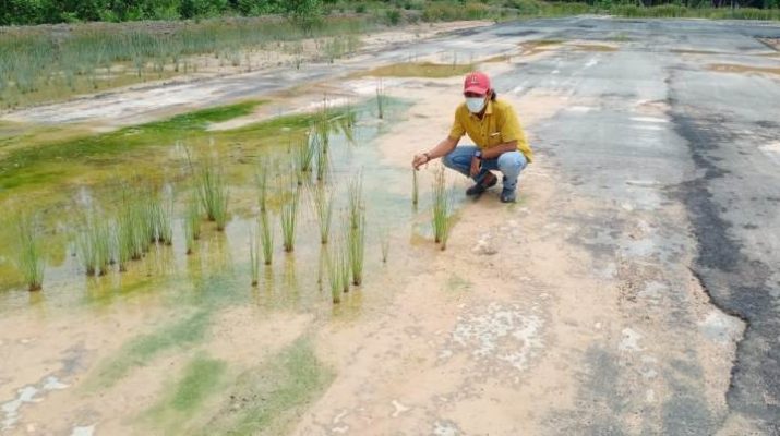 Pembangunan arena RoadRace yang berada di Tanjabbar kini terbengkalai, aset yang dibangun dengan biaya mencapai Rp 6 miliar ini menjadi