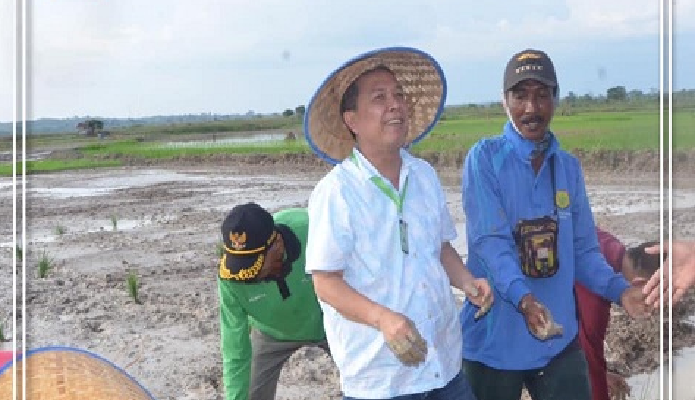 Bupati Batang Hari Syahirsah menyerahkan Bantuan Saung Sawah, kepada Kelompok Tani Sawah Tuo dan Gerakan Tanam Padi (GTP). Bertempat di Desa Pematang Lima Suku Kecamatan Muara Tembesi, Kabupaten Batang Hari pada Minggu (12/07) Pukul 15.00 WIB di lokasi.