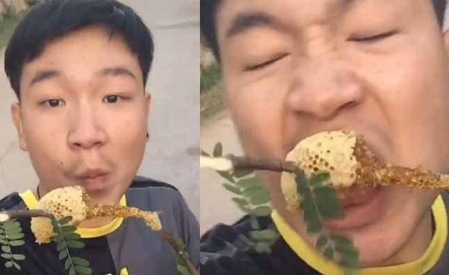 Ada-ada saja tingkah laku pria ini, yang makan madu langsung dari sarang lebahnya. Tak ayal, bibirnya pun bengkak dan di sebut estetik oleh pengguna medsos.