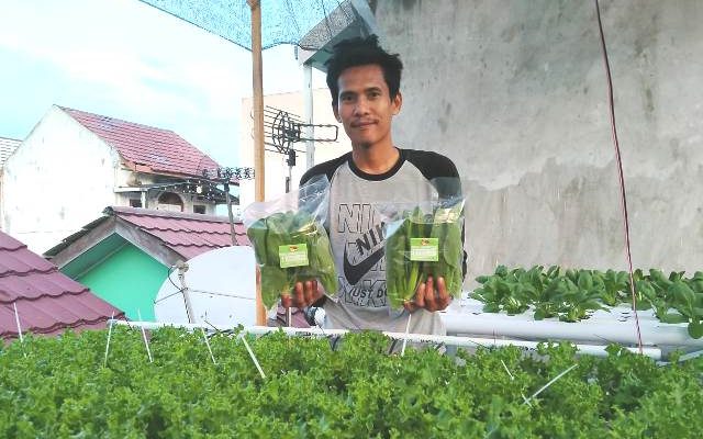 Berawal dari hobby, akhirnya menjadi usaha yang penghasilannya menjanjikan. Dengan manfaatkan lahan sempit yang berada di atap rumah, Seorang pria ini bersemangat untuk memulai bisnisnya.