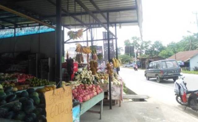 Larangan mudik yang di lakukan atau di terapkan oleh Pemerintah, menjelang lebaran tahun 2021 ini. Ternyata, membuat supir mobil travel dan sebagian pedagang buah di Jambi menjerit, karena di nilai dapat mengurangi omzet mereka.