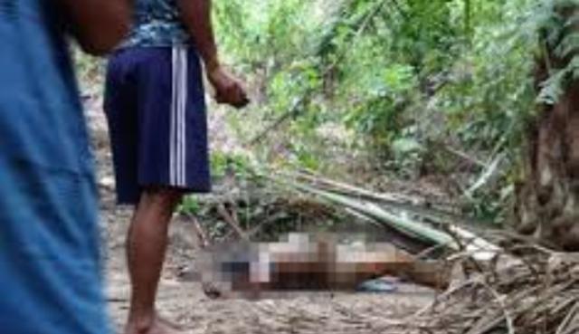 Baru-baru in sebuah peristiwa mengegerkan kembali terjadi, di mana kali ini adanya penemuan mayat seorang wanita tanpa busana di lokasi kebun sawit.