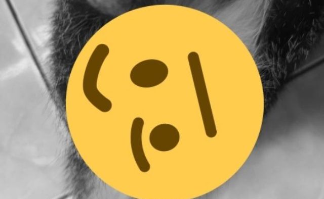 Unggahan belakangan ini viral lagi di Twitter, di mana seekor kucing dalam kondisi mengenaskan, didiga diperkosa manusia.