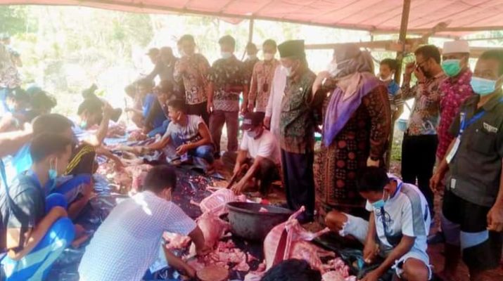 Keceriaan masyarakat adat SAD di Dusun Nebang Jaya, terpatri indah di hadapan Bupati dan Wakil Bupati Muaro Jambi, saat melaksanakan pemotongan hewan kurban. 