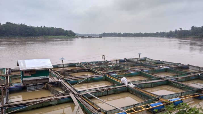 Weekend atau akhir pekan, tentu menjadi waktu berwisata bagi sebagian besar masyarakat. Tak begitu jauh dari Kota Jambi, Keramba Apung di Pematang Jering cocok di jadikan tempat menghilangkan kepenatan.