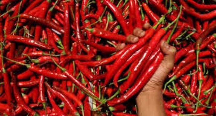 Harga cabe di Kota Jambi, tampak mengalami kenaikan. Monggo, cek update harga Sembako di Kota Jambi selengkapnya disini.