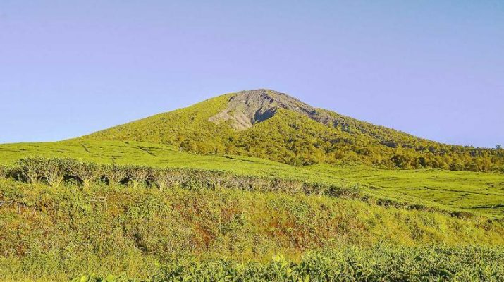 Salah satu ikon wisata Pagar Alam adalah kebun teh Pagar Alam yang di kelola oleh PT Perkebunan Nusantara VII (PTPN VI). Kebun teh ini dapat menjadi pilihan terbaik