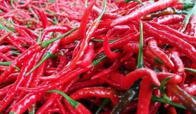 Harga cabe di Kota Jambi, kembali menunjukkan angka stabil. Cek update harga Sembako di Kota Jambi selengkapnya di sini, Jumat (26/11/2021).