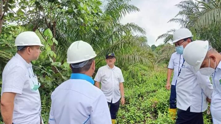 Dewan Komisaris Holding PTPN III gelar Kunker ke PTPN VI dan anak perusahaannya, yakni PT MAI belum lama ini. Dalam kunjungan ini, paling tidak ada 3 orang Komisaris yang ikut, di mana akan di lakukan selama beberapa hari ke depan.