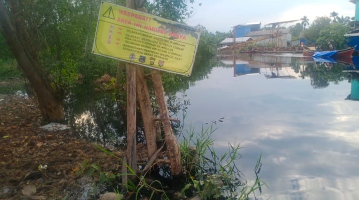 Belasan Buaya Muara (Crocodylus porosus), mulai muncul di perkebunan masyarakat Bram Itam, Kabupaten Tanjung Jabung Barat (Tanjabbar).