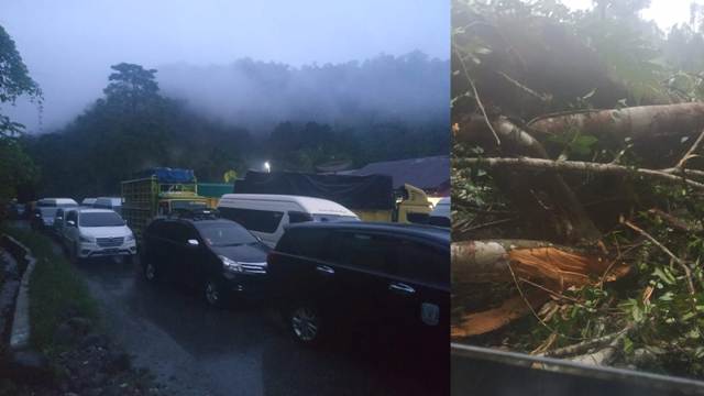 Akses jalan Merangin - Kerinci, Jumat (15/7/2022) macet akibat longsor dan pohon tumbang. Penguna jalan terjebak sekitar pukul 02.00 Wib.