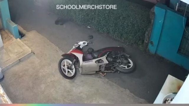 Seorang balita yang tertimpa sepeda motor yang sedang terparkir di depan rumah beredar di media sosial.