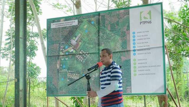 Hari ini, Sabtu (8/10/2022) salah satunya PTPN VI melakukan optimalisasi kawasan Agrowisata dengan menanam tanaman konservasi.