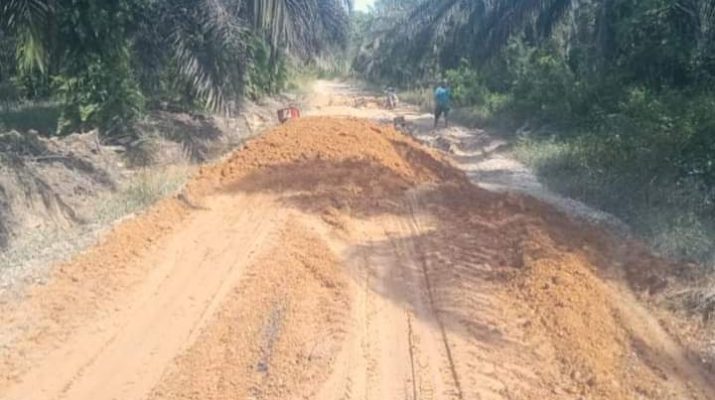 Masyarakat Desa Lidung Kecamatan Sarolangun Kabupaten Sarolangun bernapas lega. Jalan desa mereka yang rusak parah dan berlubang diperbaiki karena kepedulian PTPN VI Unit Usaha Bukit Cermin.