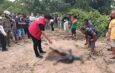Penemuan jasad wanita di Merangin, Kamis (31/8/2023) sore pukul 17.00 wib bikin gempar. Diduga, mayat tersebut merupakan korban pembunuhan.