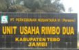 Bergabung dengan PTPN VI tahun 1996, Unit Usaha Rimbo Dua belakangan produktif dan aktif membantu warga. Yuk mengenal singkat sejarah Unit Usaha Rimbo Dua.