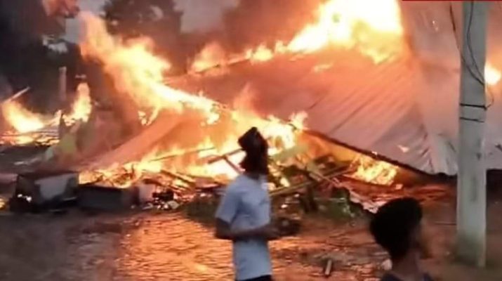 Viral warga mengamuk usai harimau terkam warga lagi di Lampung. Kekesalan warga makin menjadi dan membakar kantor Polisi Hutan TNBBS di Lampung Barat.