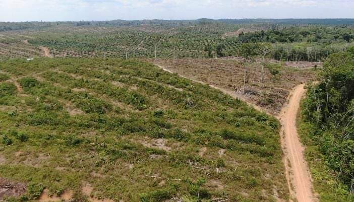 PERSOALAN YANG MENYERET ASPAN PEKAN pertama menjabat sebagai PJ Bupati Tebo, Varial Adhi Putra, Dihadapi dua kenyataan sekaligus.