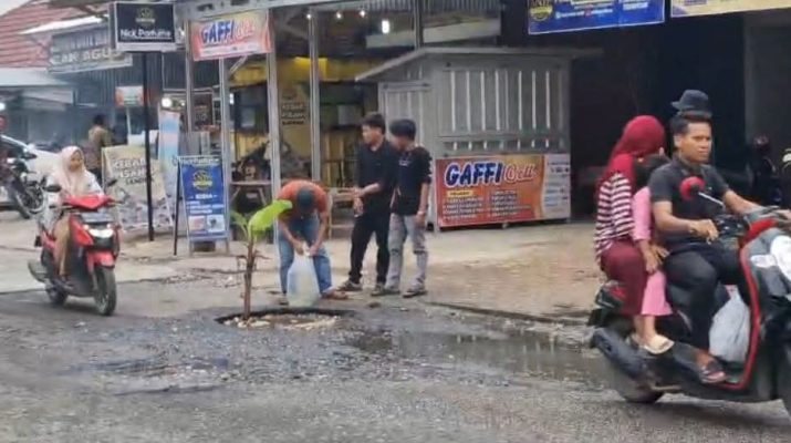 Kerusakan jalan Rangkayo Hitam, Kota Bangko disorot publik pekan ini. FAPMMR turun tangan, tanam pisang dan tebar ikan di Jalan Kota Bangko, Merangin, Jumat (10/1/2025)