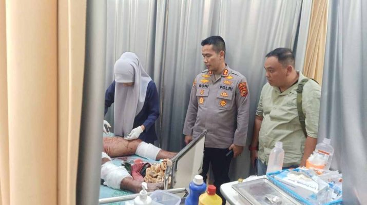 Serangan harimau gegerkan warga Pangkalan Jambu, Rabu (25/6/2025) pagi. Warga Merangin diserang 2 harimau saat hendak panen kopi.