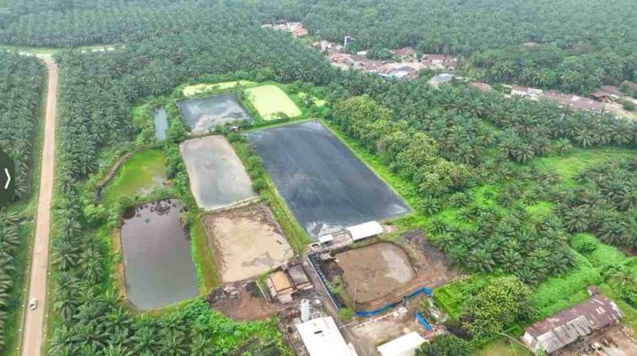 harga energi fosil akibat dinamika geopolitik global mendorong pelaku industri mencari strategi alternatif demi menjaga stabilitas operasional.